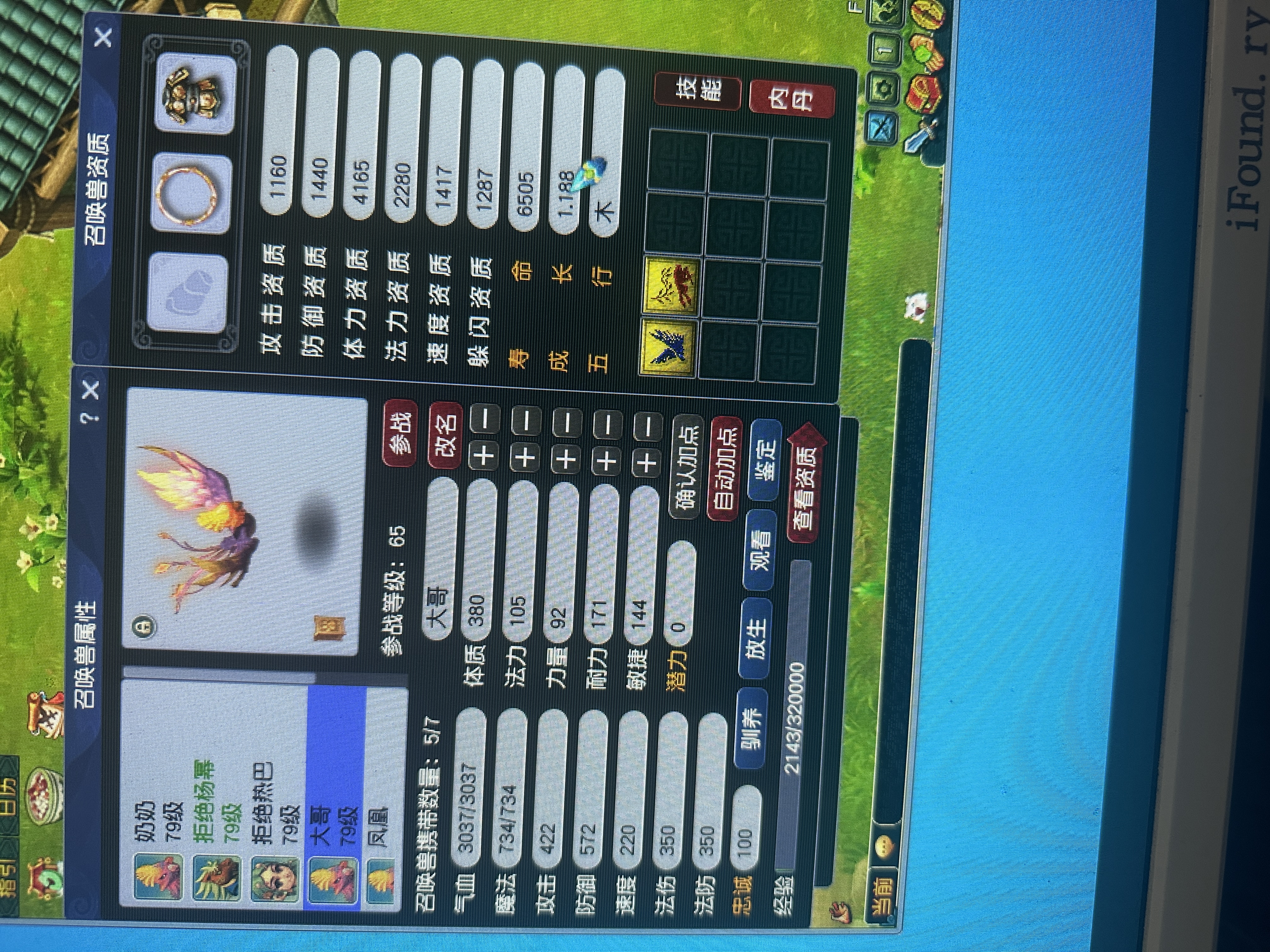 CWFYXZH40203梦幻西游畅玩服账号详情图4